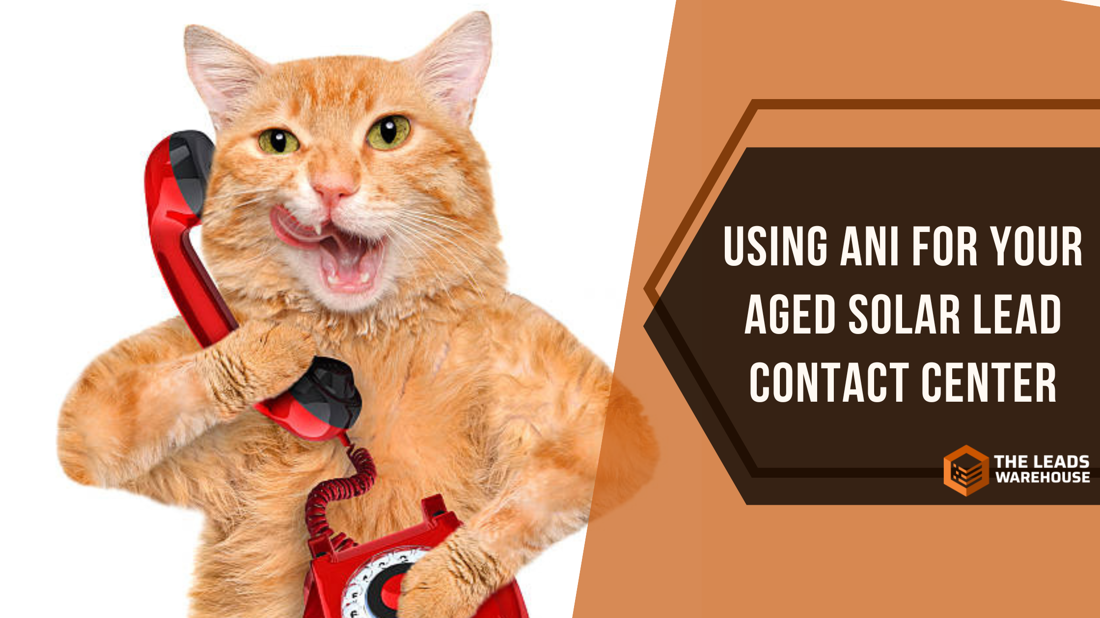 Solar Lead Contact Center